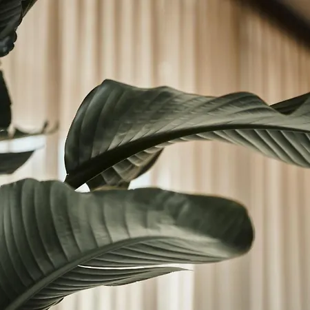 Hotel Nouri Bad Krozingen