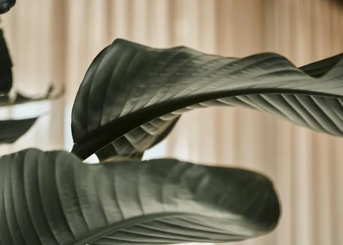 Hotel Nouri Bad Krozingen